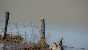 Call for drainage scheme as The Neale remains flooded