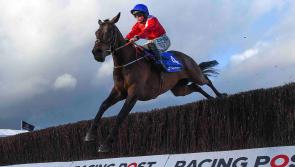 Cheltenham worth waiting for