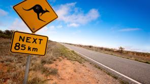 My experience of self-isolation during an outbreak