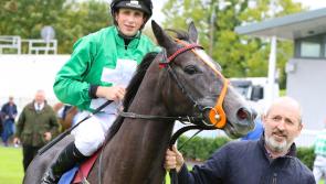 Questions and answers with Conor Hoban