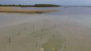 Sinkhole’s sucking sands a real risk to bathers