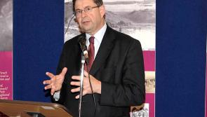 Covid-19 presents a huge opportunity for rural Ireland - Ó Cuív