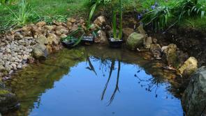 Create a life-giving garden oases
