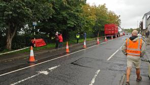 Standoff over cutting down trees on historic street