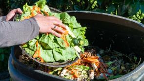 Composting a ‘win win’ for everyone