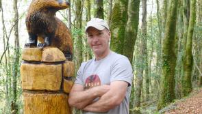 Finding the life in logs