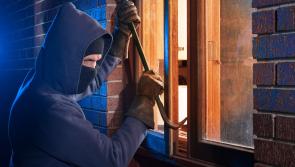 County’s crime rate plummets in pandemic