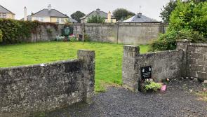 Survivors’ stories must be heard