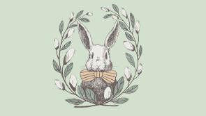 Eggs and carrots