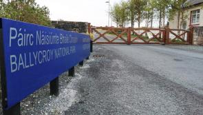 Going wild in Ballycroy