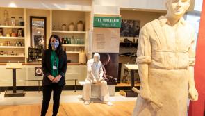 Braced for a busy summer