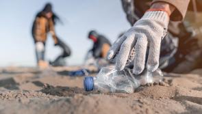 Don’t let rubbish spoil your beach trip