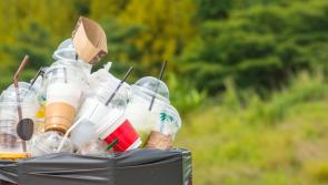 Councillors call for seven-day-a-week bin service
