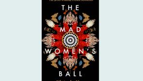 A darkly compelling tale of injustice and strength