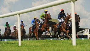 Record temperatures as crowds return to Ballinrobe Races