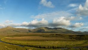 Lack of high-speed broadband ‘a major disadvantage’ to rural areas – McNamara