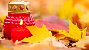 November, a month to remember