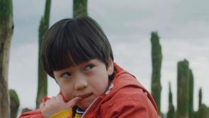 Linenhall screens ‘The Reason I Jump’