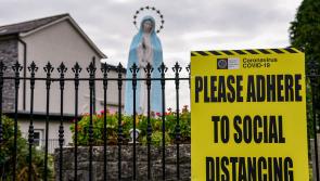 Covid case surge could be levelling out