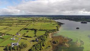 Saving Lough Carra