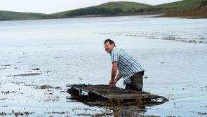 Up to your oysters?