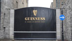A pint of plain talking