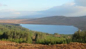 A remote and unfrequented glen