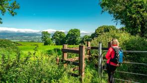 Walk Declan’s Way in a Week 