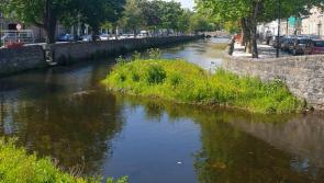 Cleaning up the unsightly Mall River