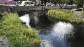 Restoring the Carrowbeg River
