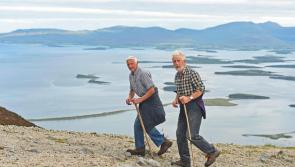 Reek Sunday pilgrimage alive and well