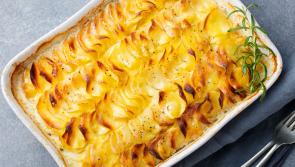 Cave into your gratin craving