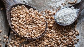 Grains of truth