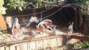 Ballinrobe crib vandalism branded ‘a new low’