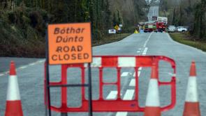 Two men in their 20s killed in traffic collision