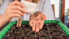 Sowing season soon in full swing