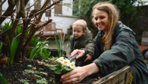A green spring clean in the garden