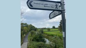 Concern over safety of Ballinrobe walkway