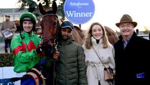 Westport Cove all set for Cheltenham