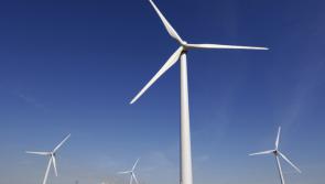 40 hectares of trees to be cut to facilitate proposed wind turbines in Mayo townlands 