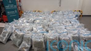 Over €16m worth of cannabis seized at Rosslare port in major drugs haul