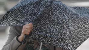 Met Éireann issues weather warnings for most of the country as Storm Agnes approaches