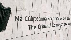 Court urged not to jail sister of gang 'patriarch' over €124k found in attic