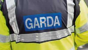 Four arrested after &euro;300,000 worth of cannabis seized in Limerick