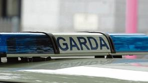 Man, 60s, dies while hunting in Limerick