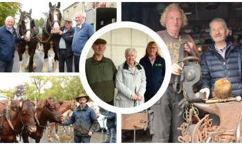 PICTURES: Were you at the Mayo town Horse Fair & Heritage Day?