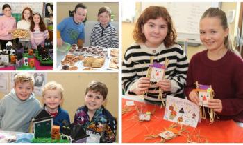 PHOTOS: Were you at the Harvest Fair at Mayo National School?