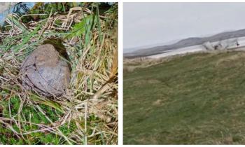 WATCH: Grenade exploded by special team