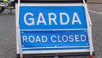 Victim of hit and run dies in hospital this morning as Garda&iacute; appeal for witnesses