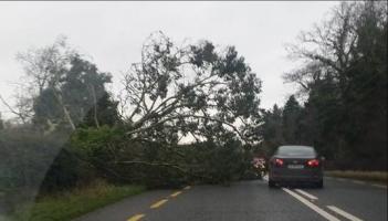 Alert: Met Eireann pinpoints when status yellow wind warning is set to hit Mayo